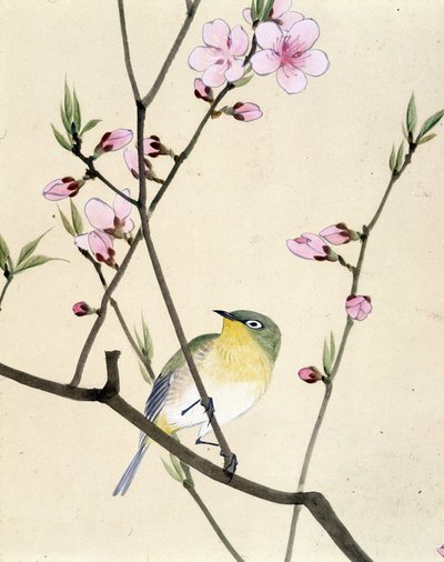 Fågel - japansk teckning av Riou Chim, sent 1800-tal av Riu Chim