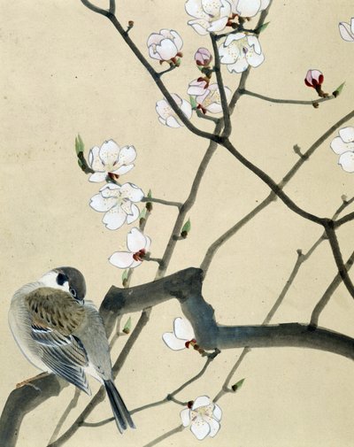 Fågel - japansk teckning av Riou Chim, sent 1800-tal av Riu Chim