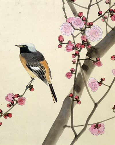 Fågel - japansk teckning av Riou Chim, sent 1800-tal av Riu Chim