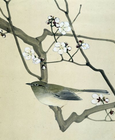 Fågel - japansk teckning av Riou Chim, sent 1800-tal av Riu Chim