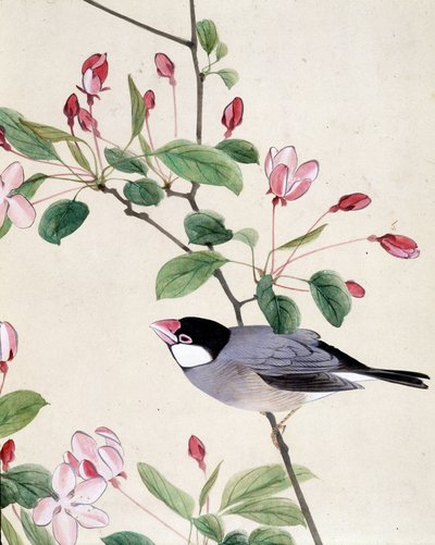 Fågel - japansk teckning av Riou Chim, sent 1800-tal av Riu Chim