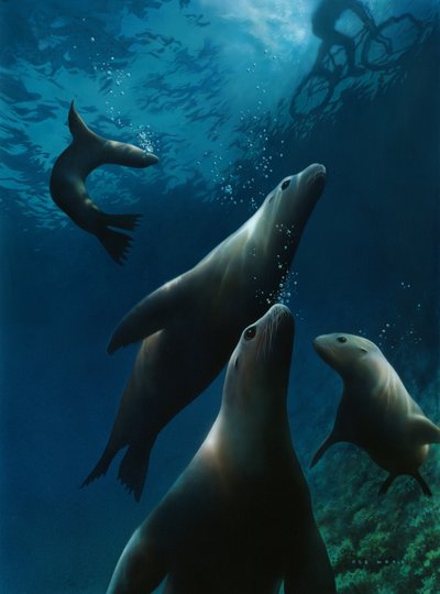 Sea Lions, 2004 (akryl på kartong) av Rob Wood