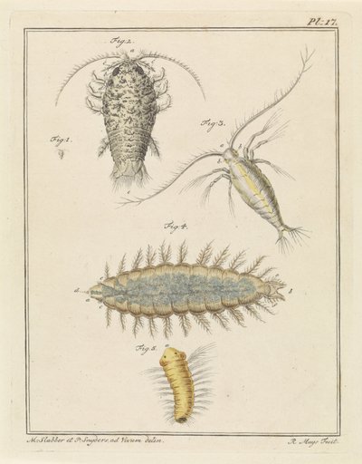 Agatvedlöss, copepod och borstmask av Robbert Muys