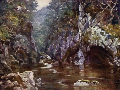 Fairy Glen, Bettws-y-Coed (litho i färg) av Robert (after) Fowler