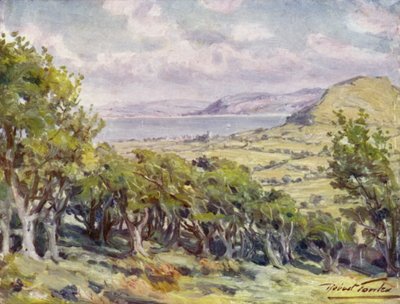 Nära Colwyn Bay (färg litho) av Robert (after) Fowler