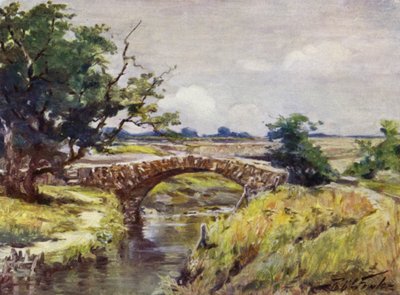 Gamla romerska bron, nära Swansea (färglitografi) av Robert (after) Fowler