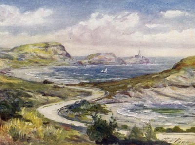 Utsikt nära Mumbles, Swansea (färg litho) av Robert (after) Fowler