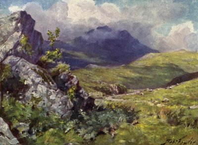 Utsikt över Moelwyn (färg litho) av Robert (after) Fowler