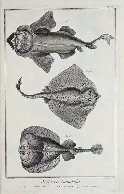Illustration från 