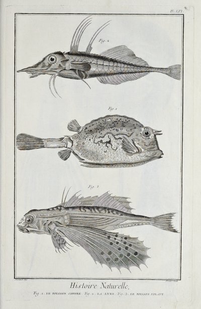 Illustration från 