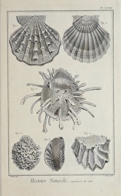 Illustration från 