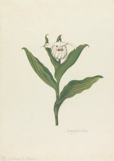swedish av Robert Blyth