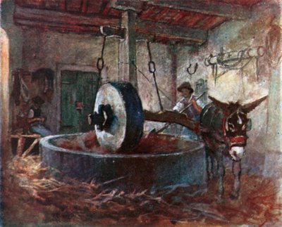 Tuscan Oil Press (färglitografi) av Robert Charles Goff