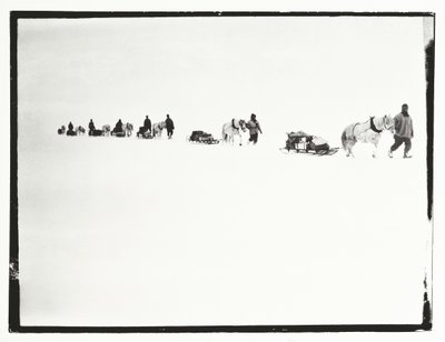 Ponnyer på marsch, Great Ice Barrier, 2 december av Robert Falcon Scott