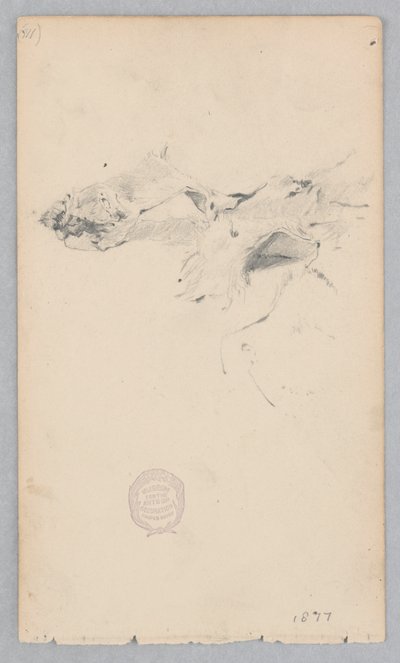 Tigerskinnsmatta av Robert Frederick Blum