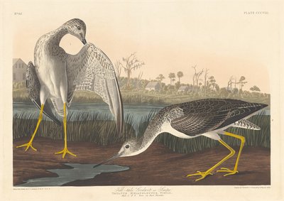 Talande gudwita, 1836. av Robert Havell