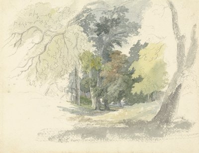 En Woodland Glade av Robert Hills
