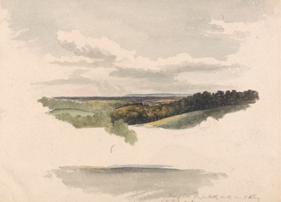 Mellan Netley Heath och Albury av Robert Hills