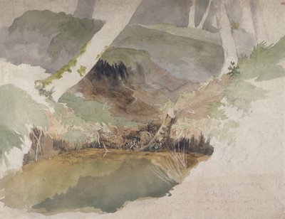 Skogspool (wc över grafit på papper) av Robert Hills