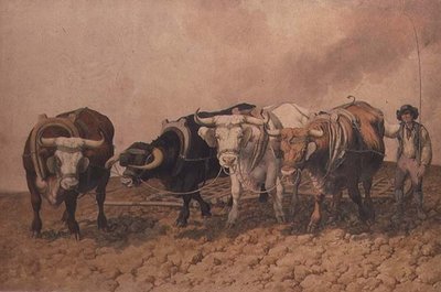 Hemsk av Robert Hills