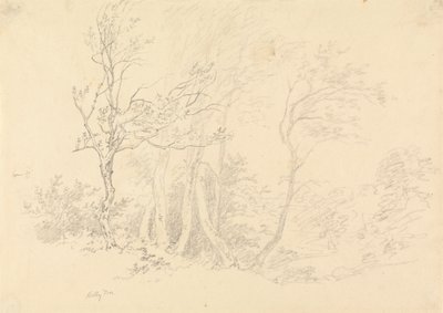 swedish av Robert Hills
