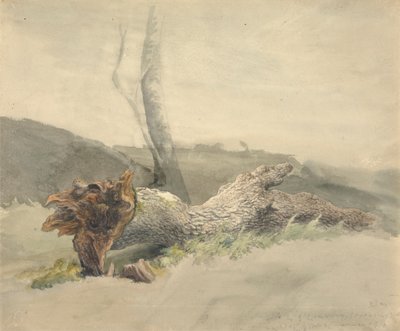 Det fallna trädet av Robert Hills