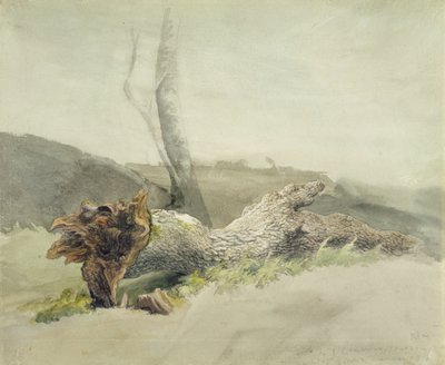 The Fallen Tree, c.1804 (wc över grafit på vävt papper) av Robert Hills
