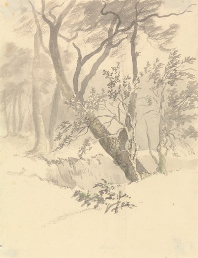 Skogen av Robert Hills