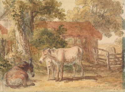 Tre åsnor av Robert Hills