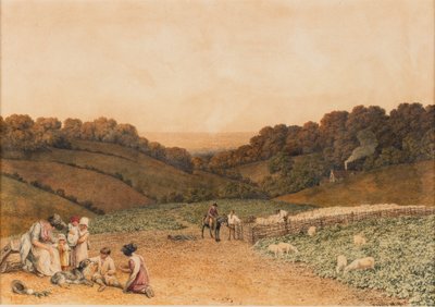 Rapsfält av Robert Hills