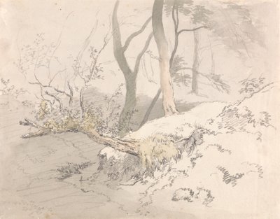 Woodland Shadow av Robert Hills