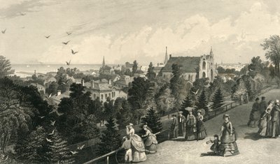 "City of Cleveland, from Reservoir Walk", 1872. av Robert Hinshelwood