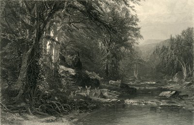 "The Adirondack Woods", 1874. av Robert Hinshelwood
