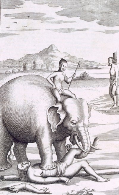 En avrättning av en elefant, pub. 1681. av Robert Knox