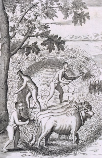 Sättet att trampa ut sitt ris, pub. 1681. av Robert Knox