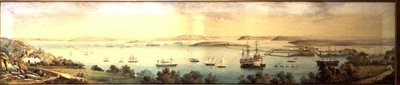 En panoramautsikt över Cove of Cork av Robert L. Stopford