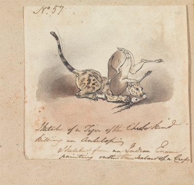 En gepard som dödar en antilop av Robert Mabon