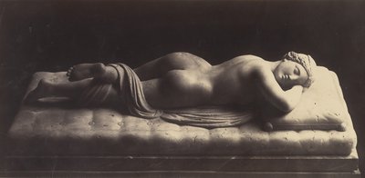 Hermafroditen, ca. 1861. av Robert MacPherson