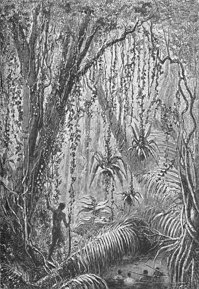 Brazilian Forest, c1885 1890 av Robert Taylor Pritchett
