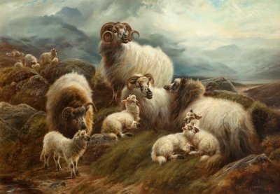 Får i ett landskap, 1894 av Robert Watson
