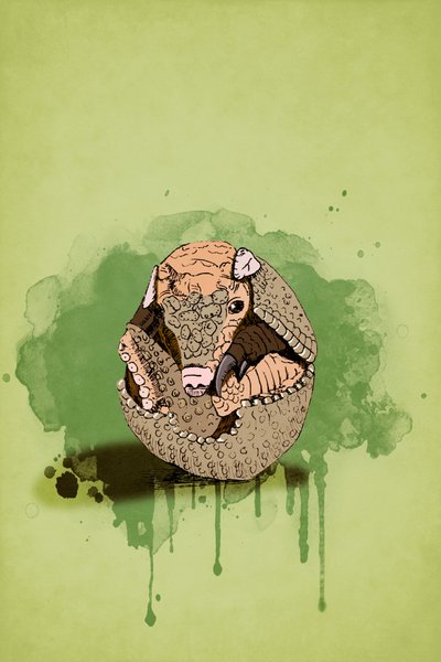 Baby Armadillo, 2022 (digital) av Roberta Murray