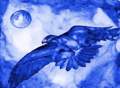 Blue Hawk Moon Flight av RodMacIver