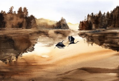  av RodMacIver