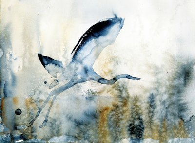  av RodMacIver