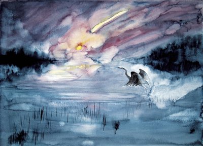  av RodMacIver