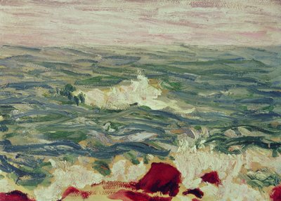 Havslandskap av Roderic OConor