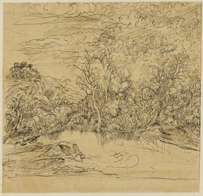 Bredden av en damm av Rodolphe Bresdin