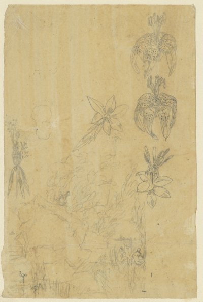 Blomsterstudier och badande kvinnor av Rodolphe Bresdin