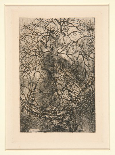 Grenar av Rodolphe Bresdin