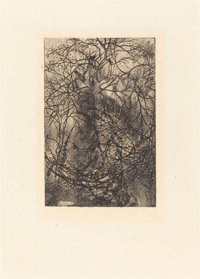 Grenar av Rodolphe Bresdin
